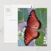 Carte Postale Noir et blanc et rouge partout (Devant / Derrière)