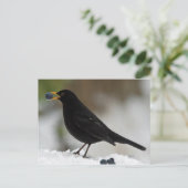 Carte Postale Noir mangeant du raisin dans la neige (Debout devant)
