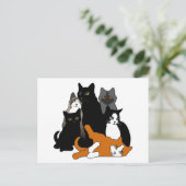 Carte Postale Noir 'n' Blanc 'n' Gris 'n' Orange Cats (Debout devant)