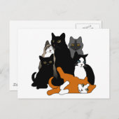 Carte Postale Noir 'n' Blanc 'n' Gris 'n' Orange Cats (Devant / Derrière)