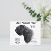 Carte Postale Noir Russe Terrier (Debout devant)