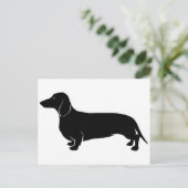 Carte Postale Noir sur blanc Dachsund (Debout devant)