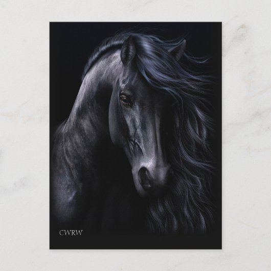 Carte postale noire (Devant)