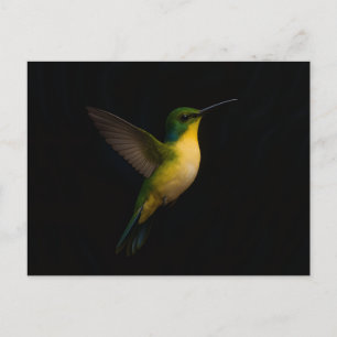 Carte postale noire 4 Luxe avec oiseau volant