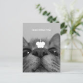 Carte postale noire&blanche 17yro kitty Blank (Debout devant)