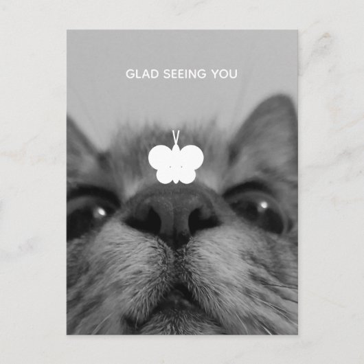 Carte postale noire&blanche 17yro kitty Blank (Devant)