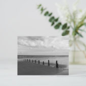 Carte postale noire et blanche (Debout devant)