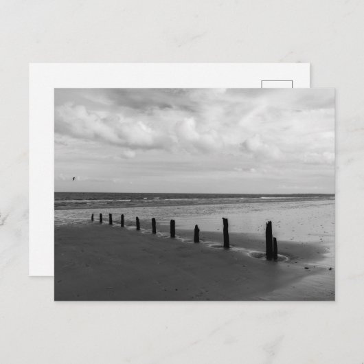 Carte postale noire et blanche (Devant / Derrière)