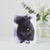 Carte postale noire et blanche (Debout devant)