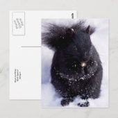 Carte postale noire et blanche (Devant / Derrière)