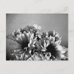 Carte postale noire et blanche