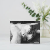 Carte postale noire et blanche (Debout devant)