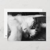 Carte postale noire et blanche (Devant / Derrière)