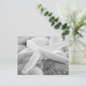 CARTE POSTALE NOIRE ET BLANCHE STARFISH AND SEASHE (Debout devant)