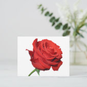 Carte postale noire florale rouge Rose (Debout devant)