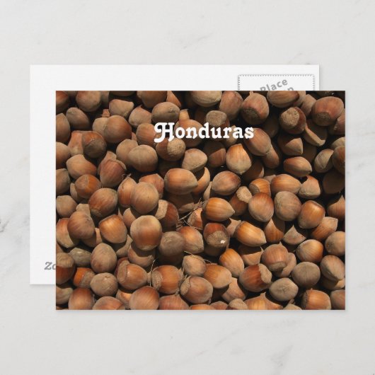 Carte Postale Noisettes (Devant / Derrière)