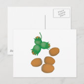 Carte Postale noisettes (Devant / Derrière)