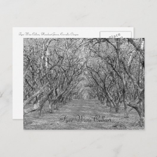 Carte Postale Noisettes de type (Devant / Derrière)