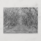 Carte Postale Noisettes de type (Devant)