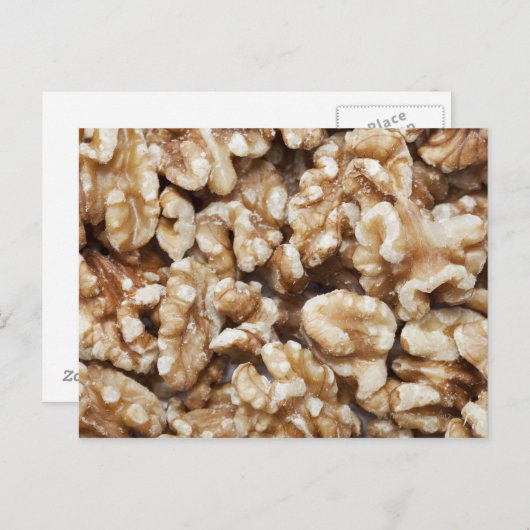 Carte Postale Noix à coque (Devant / Derrière)