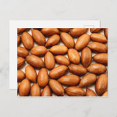 Carte Postale Noix de cacao (Devant / Derrière)