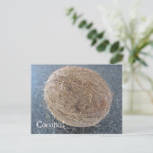 Carte Postale Noix de coco (Debout devant)