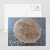 Carte Postale Noix de coco (Devant / Derrière)