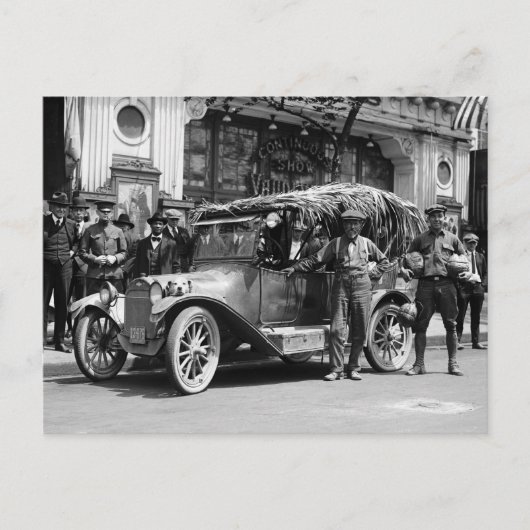 Carte Postale Noix de coco : 1922 (Devant)