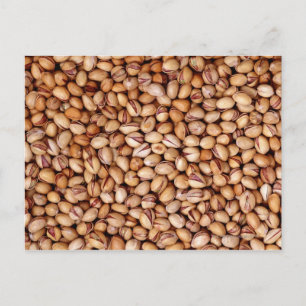Carte Postale Noix de pistache