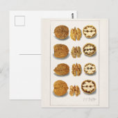 Carte Postale Noix (Juglans) Peinture à l'aquarelle de fruits (Devant / Derrière)