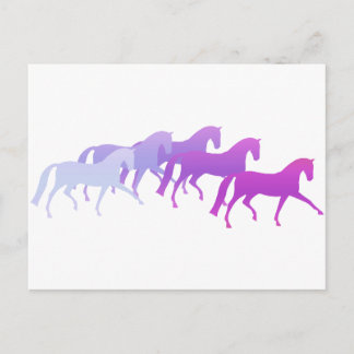 Carte Postale Nombreux chevaux (violets)