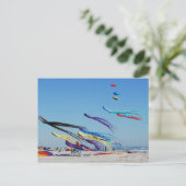 Carte Postale Nombreux Kits multicolores (Debout devant)