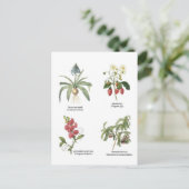 Carte Postale Noms des plantes scientifiques (Debout devant)