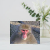 Carte Postale Non Amusé (Debout devant)