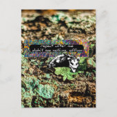 Carte Postale Non conforme (Devant)