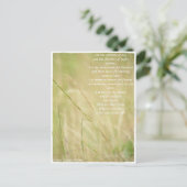 Carte Postale non défini (Debout devant)