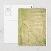 Carte Postale non défini (Devant / Derrière)