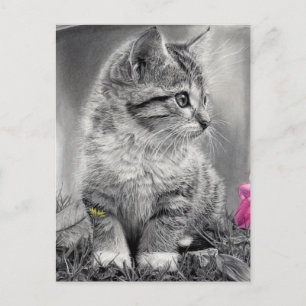 Carte Postale non défini