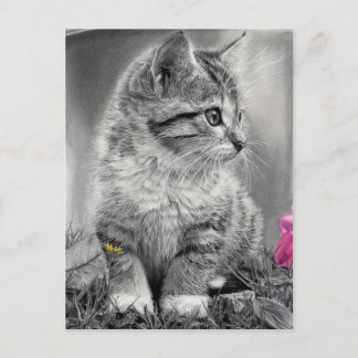 Carte Postale non défini