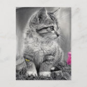 Carte Postale non défini (Devant)