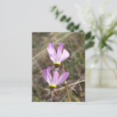 Carte Postale non défini (Debout devant)