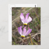 Carte Postale non défini (Devant / Derrière)