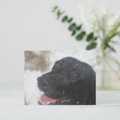 Carte Postale non défini (Debout devant)