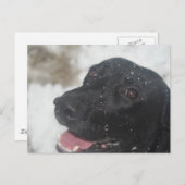 Carte Postale non défini (Devant / Derrière)