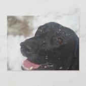 Carte Postale non défini (Devant)