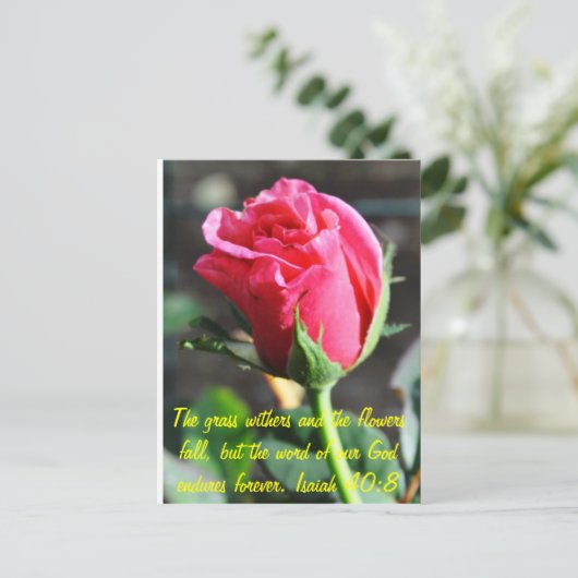 Carte Postale non défini (Debout devant)