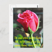 Carte Postale non défini (Devant / Derrière)