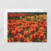 Carte Postale non défini (Devant / Derrière)