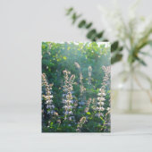 Carte Postale non défini (Debout devant)