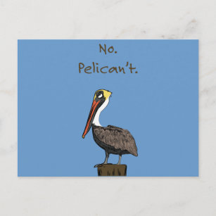 Carte Postale Non, Pelican.